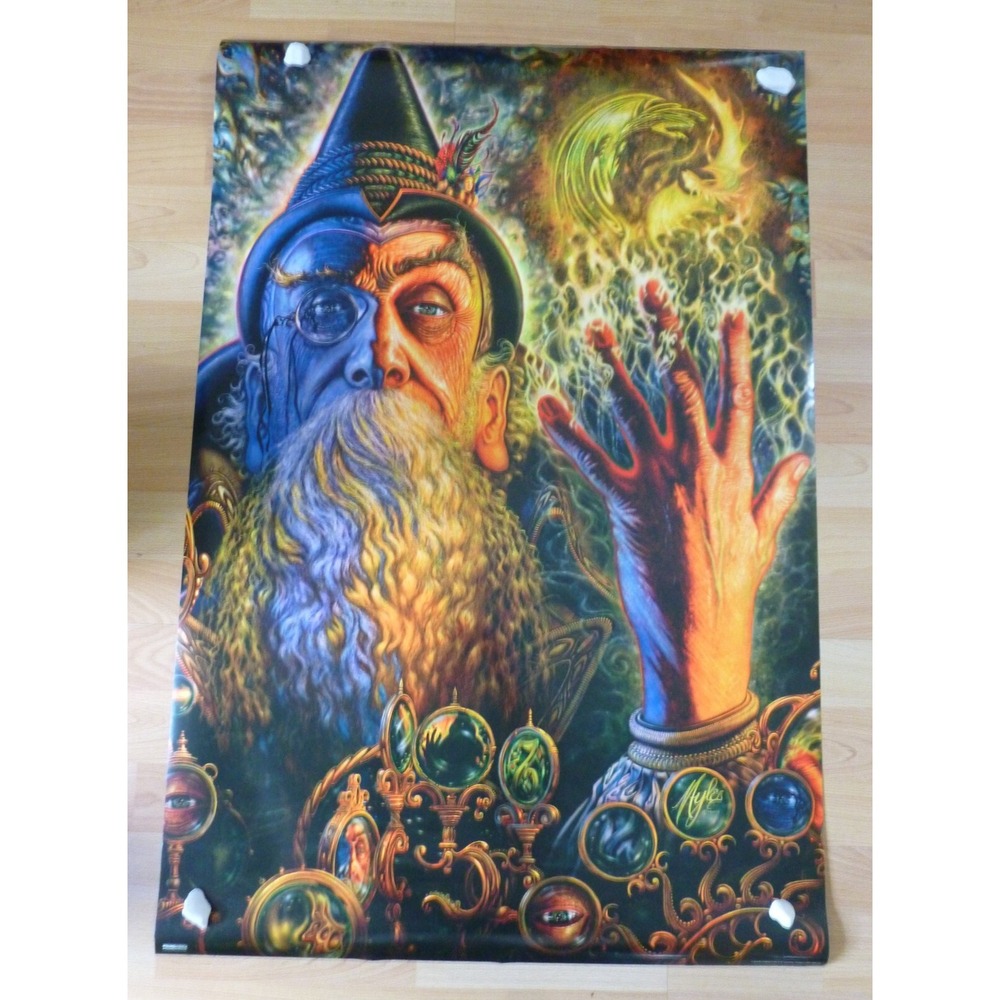 Seer ~ Myles Pinkney Poster 36"H X 24"W ~ New